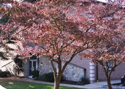 Gwynedd Family Dentistry