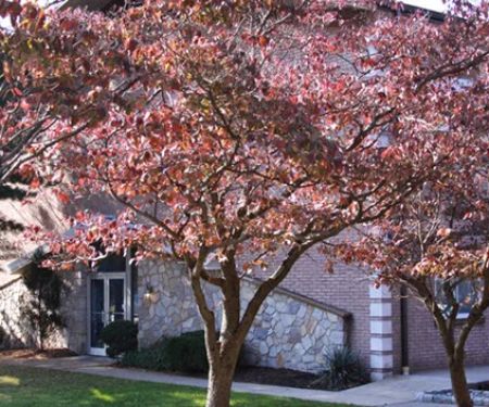 Gwynedd Family Dentistry