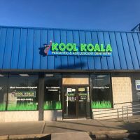 Kool Koala Pediatric and Adolescent Dentistry ico