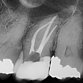 North Penn Endodontics Group 1