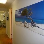 Shine Dental Care
