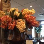 Costello Oral Surgery Associates