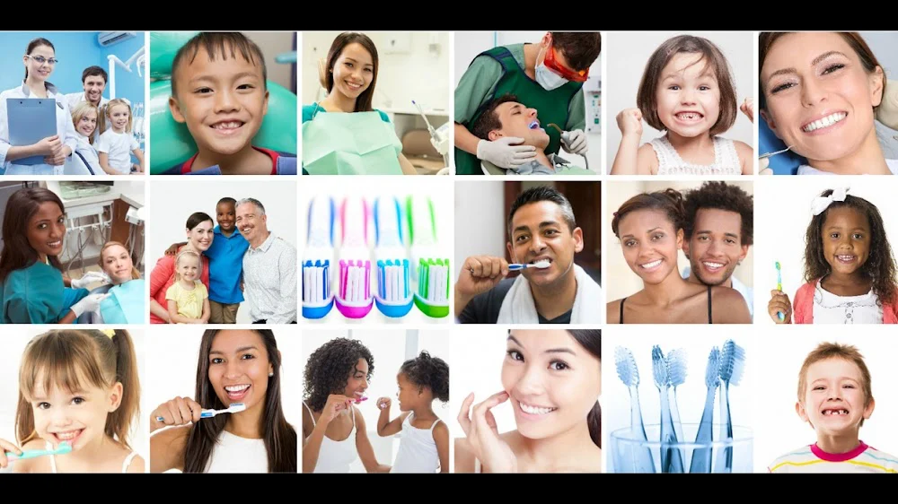 White Hill Dental 9