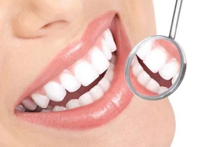 Brightman Dental: Peter S. Brightman, DMD