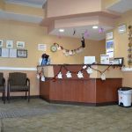Rialto Dental Care
