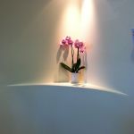 Pro Health Dental - Dr. Ada Gruita DDS