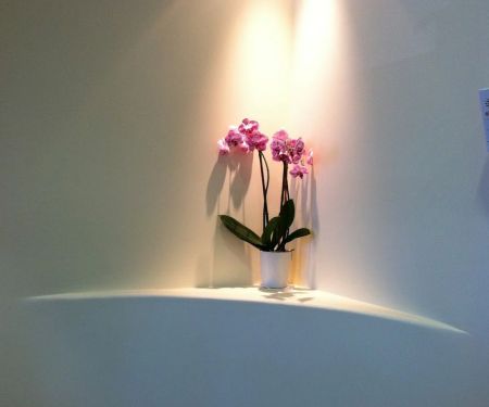Pro Health Dental - Dr. Ada Gruita DDS