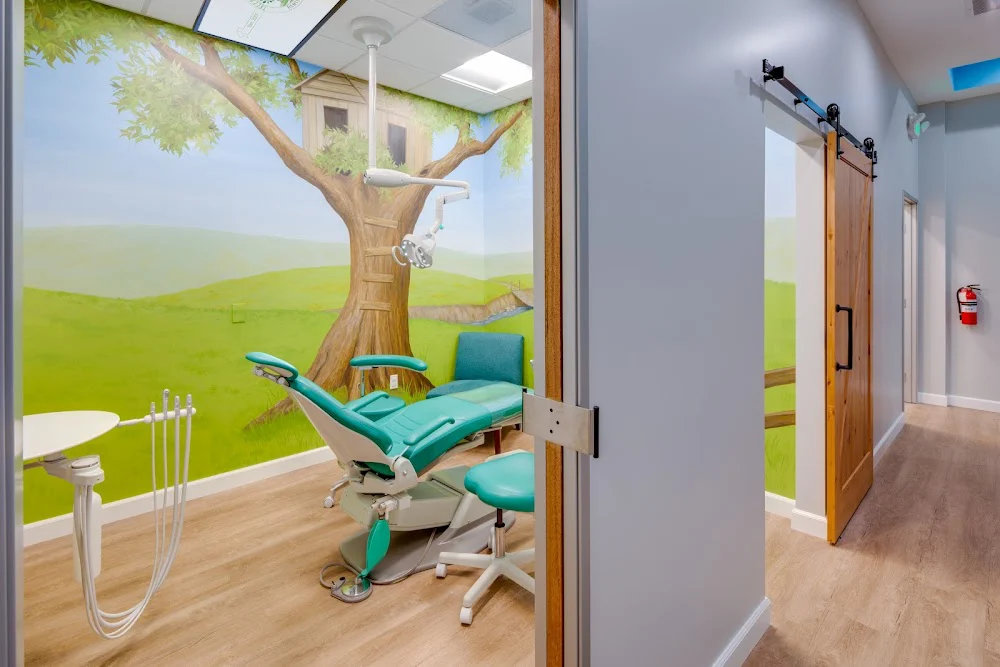 Treehouse Pediatric Dentistry 4