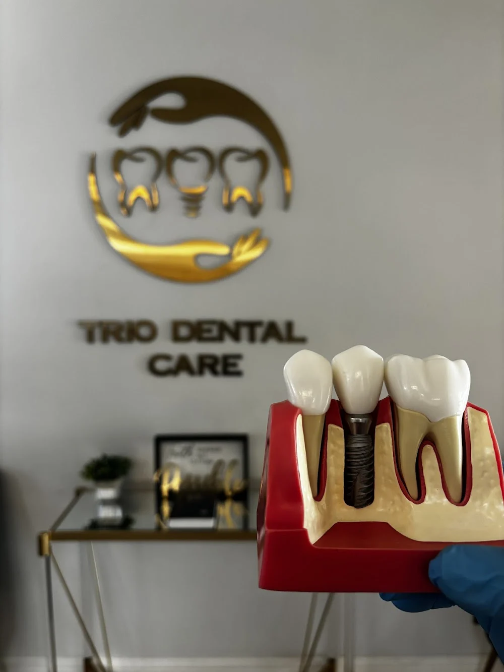 Trio Dental Care - Dr. Bashar Fargo & Dr. Bassam Fargo Picture 5