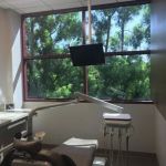 Michelle Eng, DDS