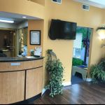 Meetinghouse Dental Care