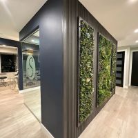 Serene Family Dentistry ico