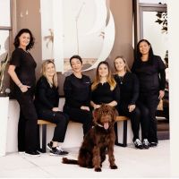 Pure Dental ico