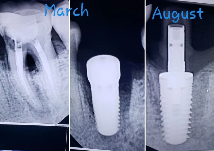 Dental World 10