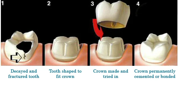 Dental World 5