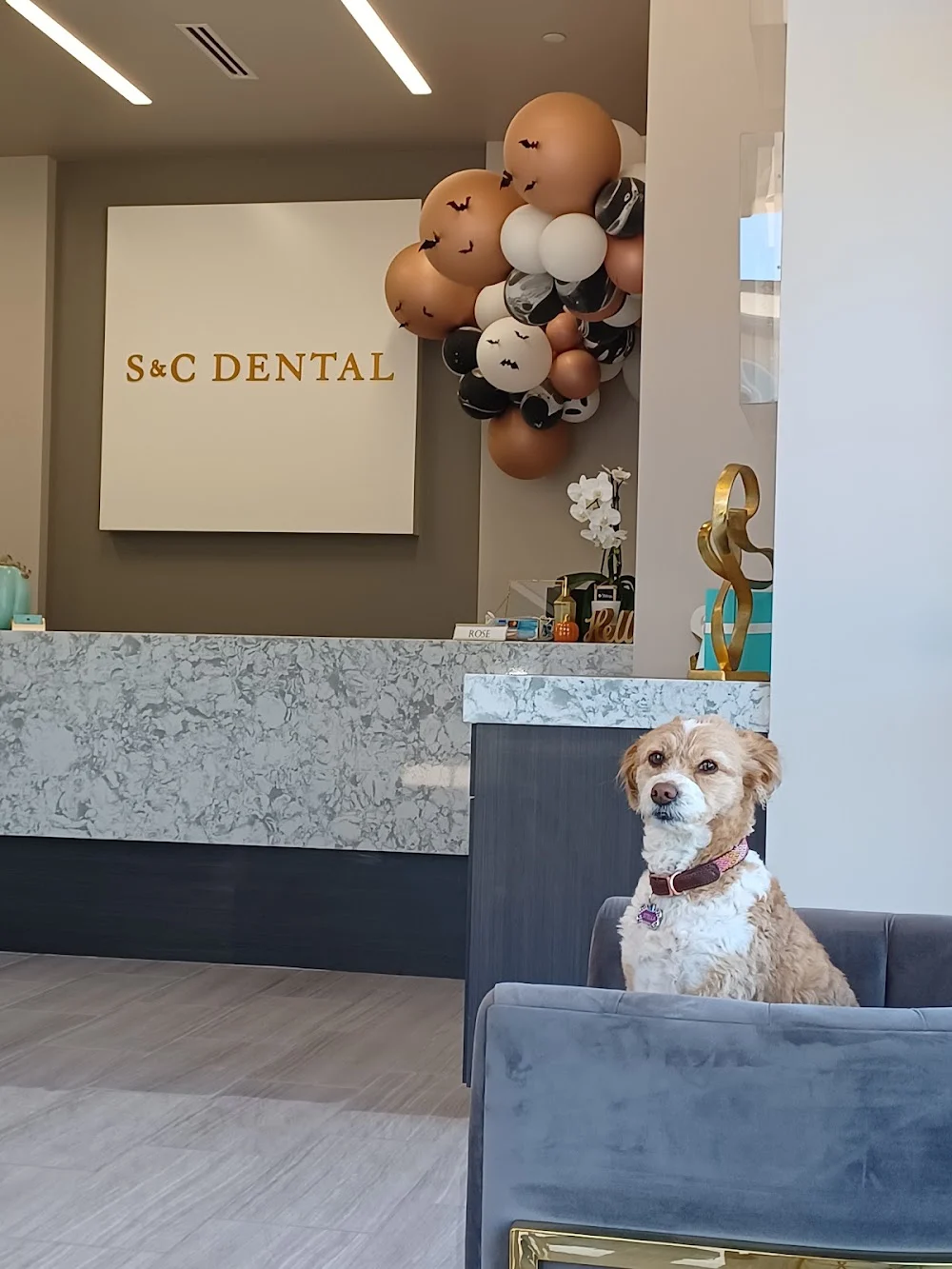 S&C Dental 7