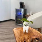 Dynamite Smiles Dentistry