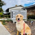 Palo Alto Oral Health