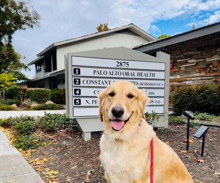 Palo Alto Oral Health