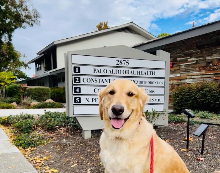 Palo Alto Oral Health