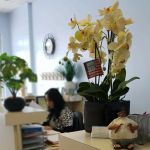 Bright Star Dental