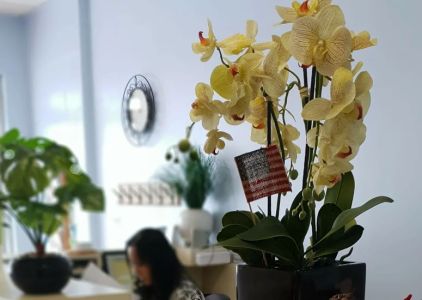 Bright Star Dental