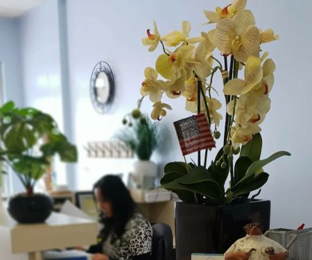 Bright Star Dental