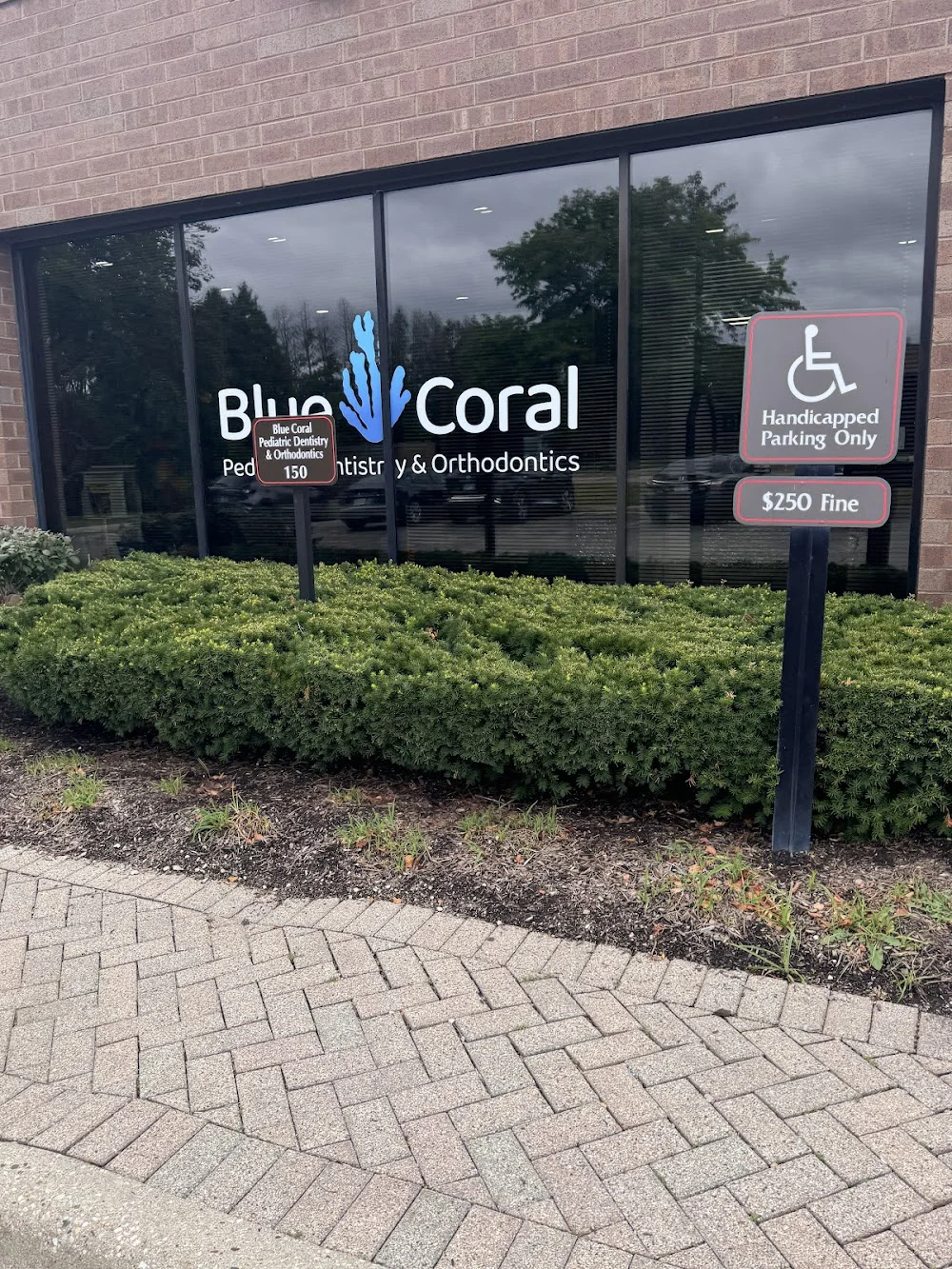 Blue Coral Pediatric Dentistry & Orthodontics - Buffalo Grove (formerly Pediatric Dental Associates) 10