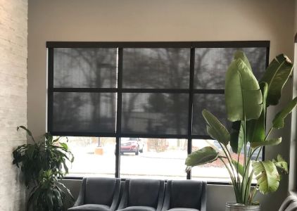 Detailed Dental - Christine Gudas, D.D.S.