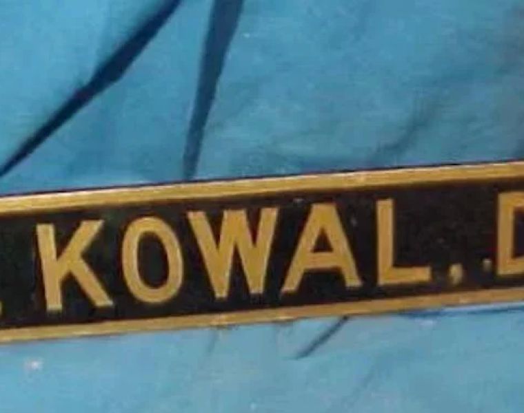 Kowal Mark H DDS