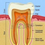 Modern Endodontics