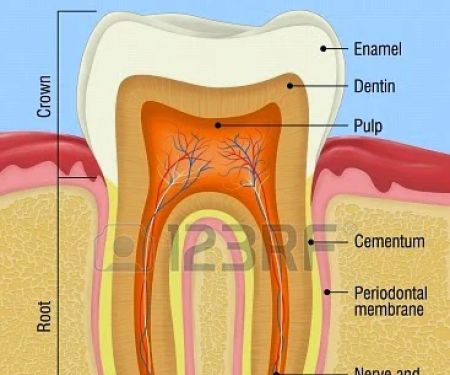 Modern Endodontics