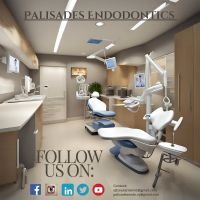 Palisades Endodontics and Dental Implant Center ico