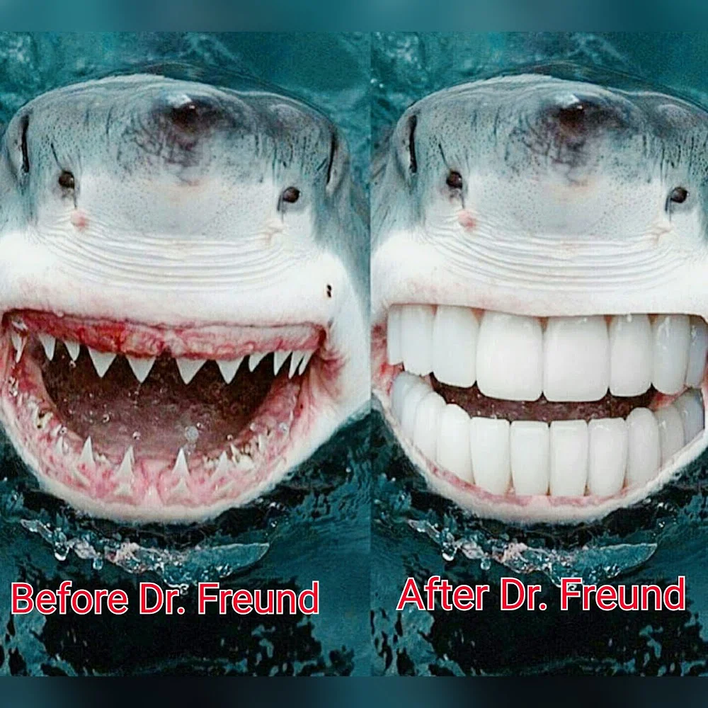 Bruce G Freund, DDS - A Dental365 Company 7