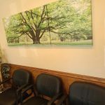 Stein Hillel DDS