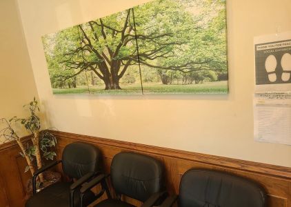 Stein Hillel DDS