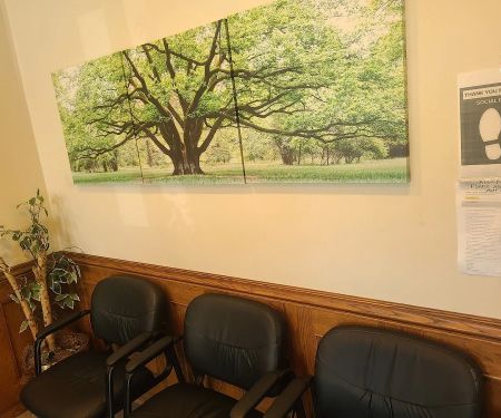 Stein Hillel DDS