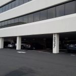 Notchview Dental Group