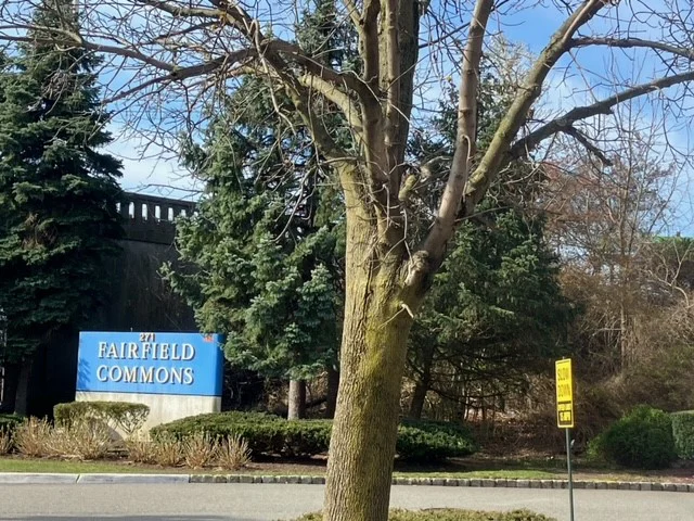A to Z Family Dentistry, PC Picture 1