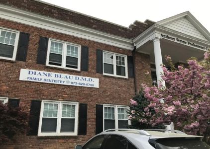 Diane C Blau DMD