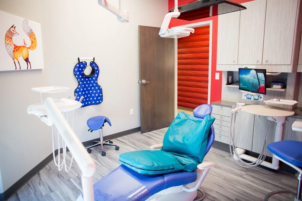 Blaine Kidds Pediatric Dentistry 5