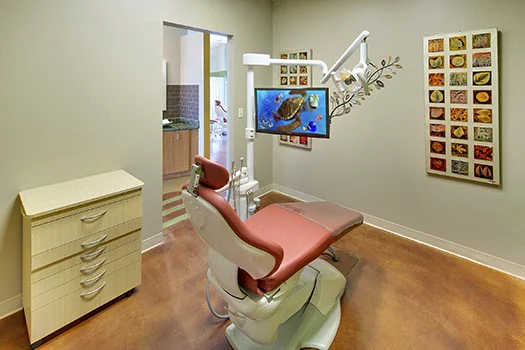 Minnesota Orthodontics - Eagan 2