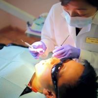 Wellness Dental Care ico