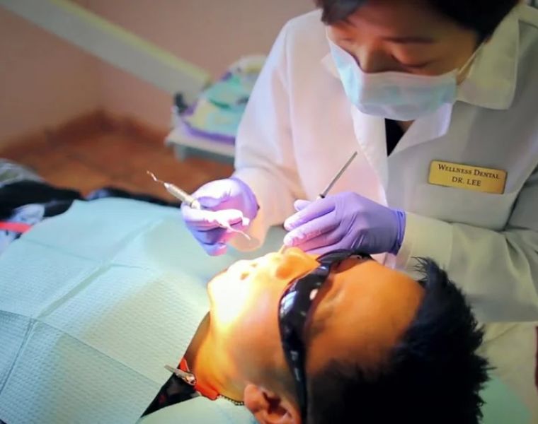 Wellness Dental Care