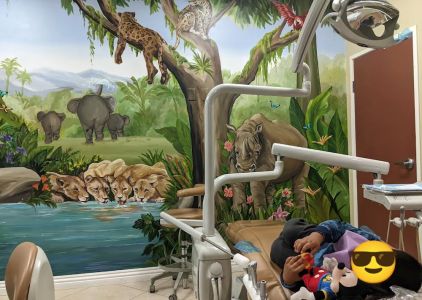 Happy Teeth Children's Dentistry: Irene Zaki, DDS
