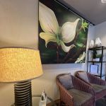 Dr. Keiko Wada, DMD & Dr. Melanie Jenkins, DMD - Opalesque Dentistry