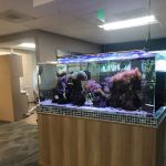 Gig Harbor Family Dentistry
