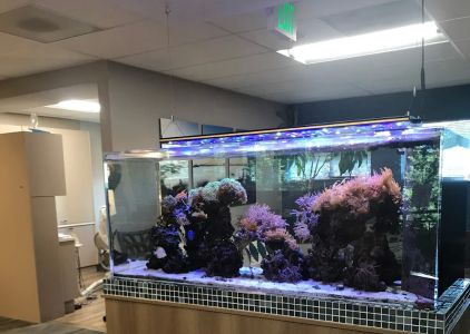 Gig Harbor Family Dentistry