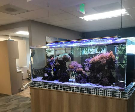 Gig Harbor Family Dentistry