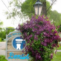 Dr. Bryon Hollenberg, DDS For Smiles Only, Ltd. ico